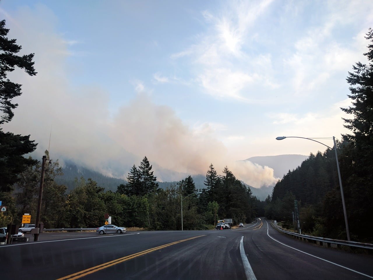 eagle creek fire, forest fire, wildfire-2723008.jpg