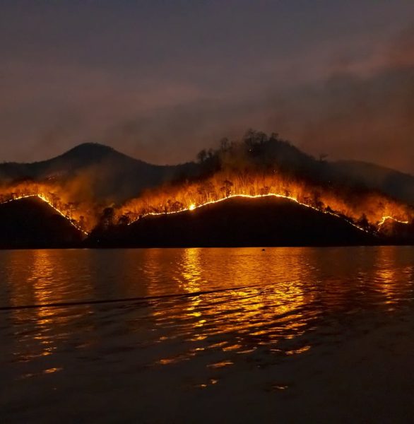 wildfire, bushfire, fire-4755030.jpg